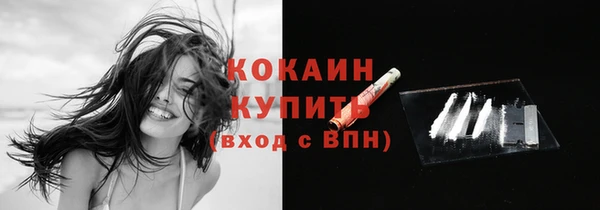 спиды Арсеньев
